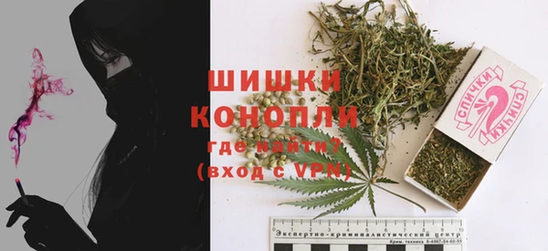 стафф Михайловск