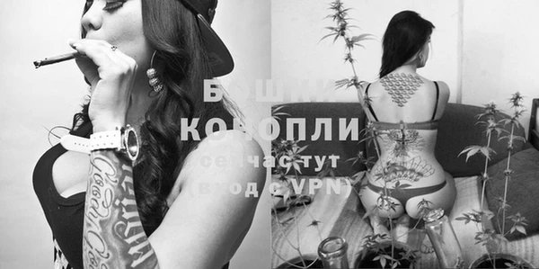 гидра Абаза