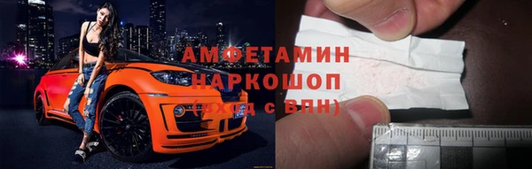 гидра Абаза