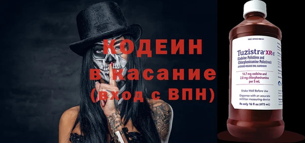 гидра Абаза