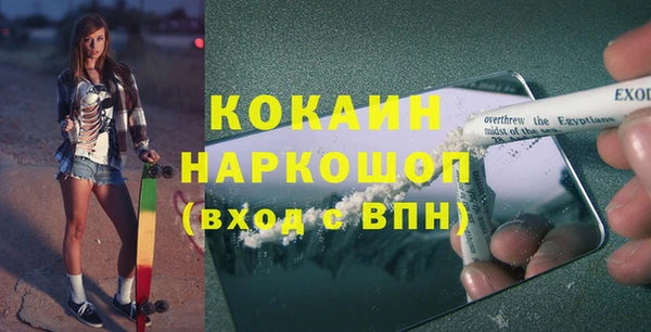 гидра Абаза