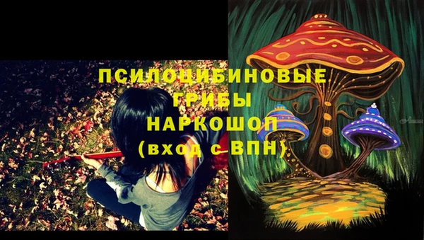 прущие грибы Алексеевка
