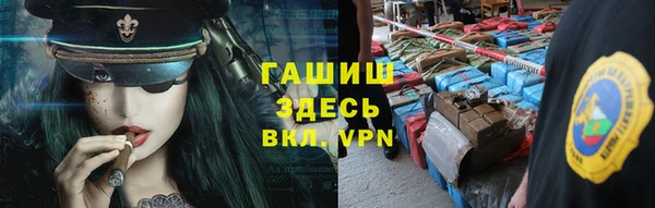 гидра Абаза