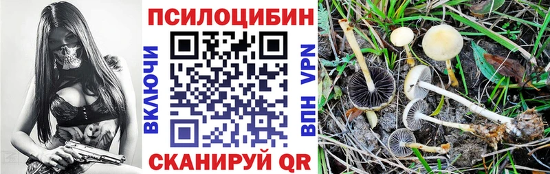 Галлюциногенные грибы Psilocybine cubensis  MEGA ССЫЛКА  Ковров  что такое наркотик 