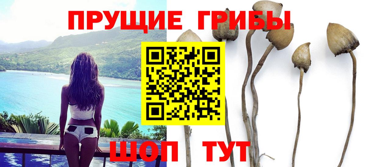 купить наркоту  Галлюциногенные грибы мухоморы  Вход с VPN  Ковров 